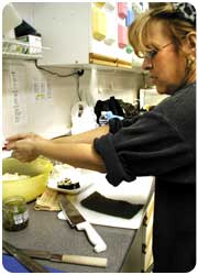 Miyamoto Foods